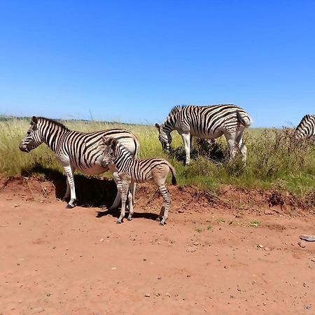 Sedgefield Lodge Witbank Dış mekan fotoğraf