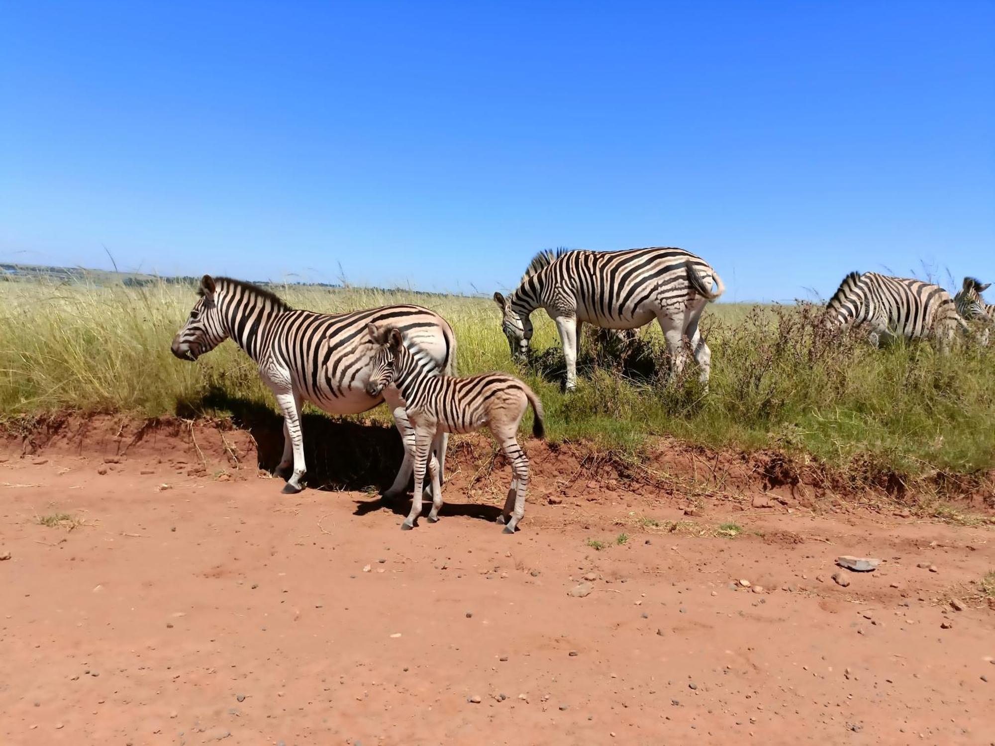 Sedgefield Lodge Witbank Dış mekan fotoğraf